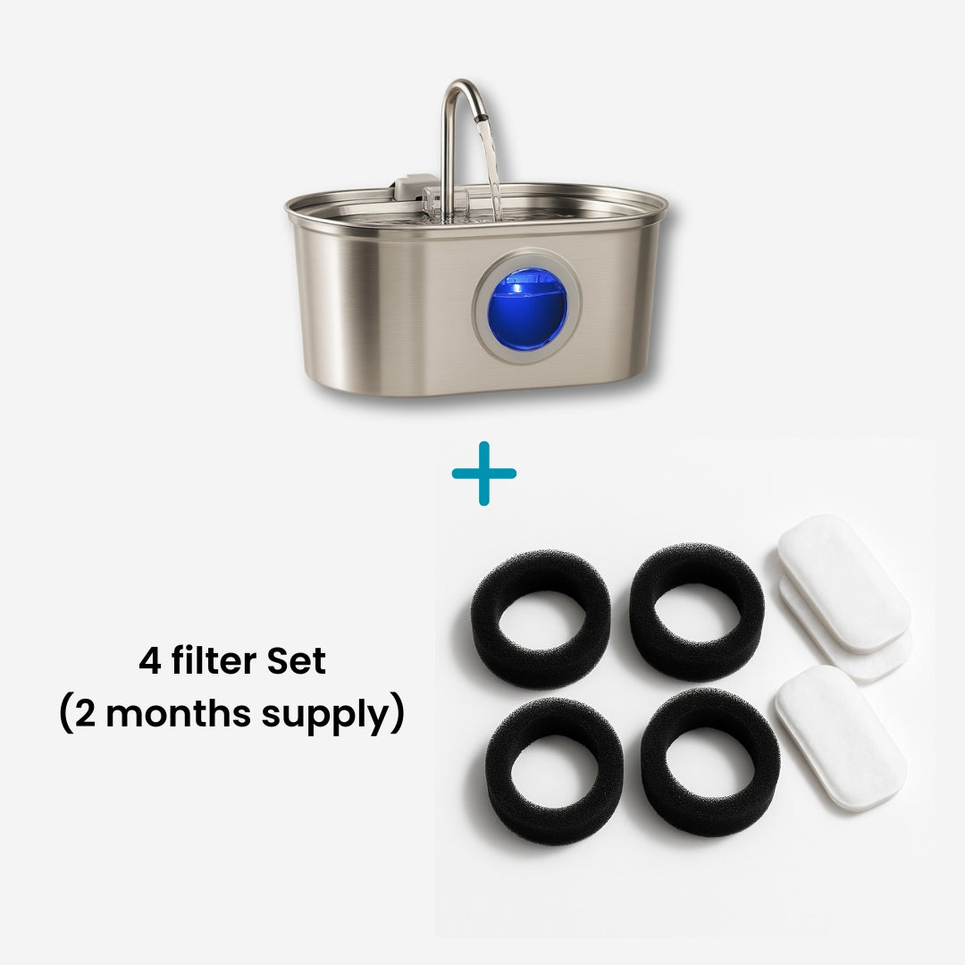 Add More Years to Your Cat’s Life – With the Vet-Recommended Petzuco Fountain™