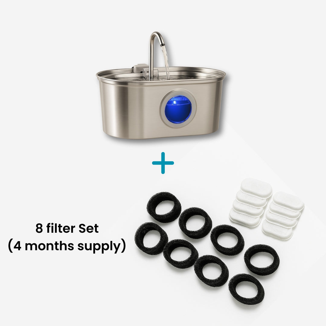 Add More Years to Your Cat’s Life – With the Vet-Recommended Petzuco Fountain™