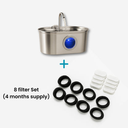 Add More Years to Your Cat’s Life – With the Vet-Recommended Petzuco Fountain™