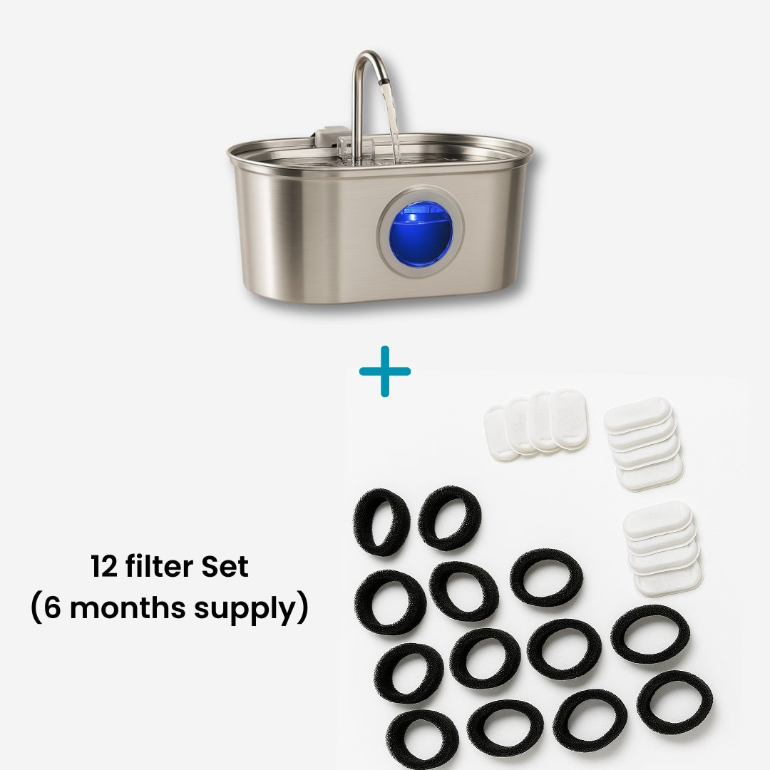 Add More Years to Your Cat’s Life – With the Vet-Recommended Petzuco Fountain™